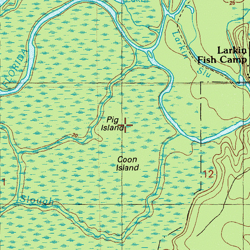 Topographic Map of Pig Island, FL