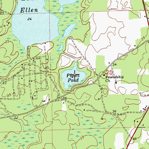 Topographic Map of Pigott Pond, FL