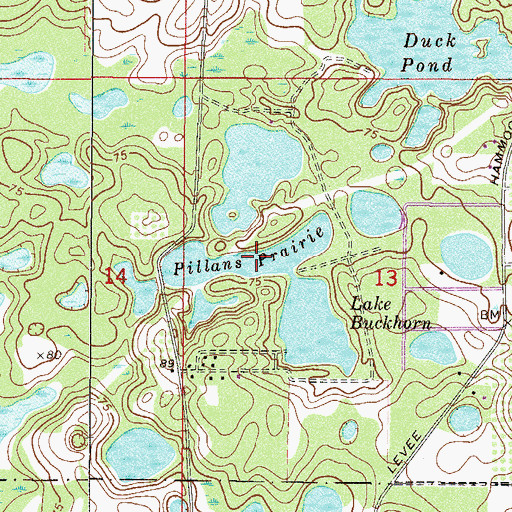 Topographic Map of Pillans Prairie, FL
