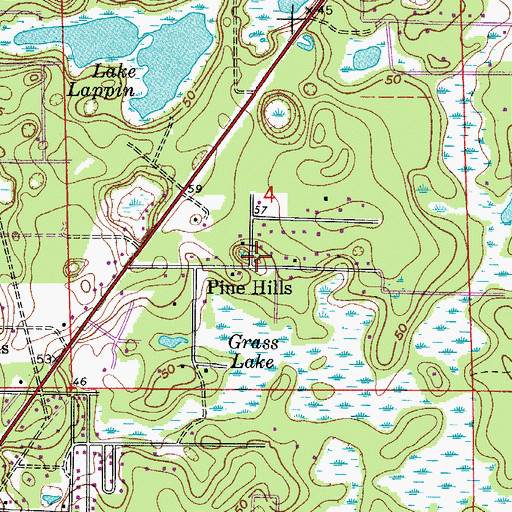 Topographic Map of Pine Hills, FL