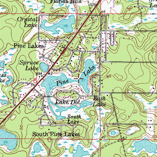 Topographic Map of Pine Lake, FL