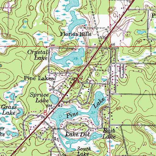 Topographic Map of Pine Lakes, FL
