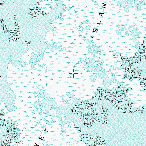 Topographic Map of Piney Island, FL