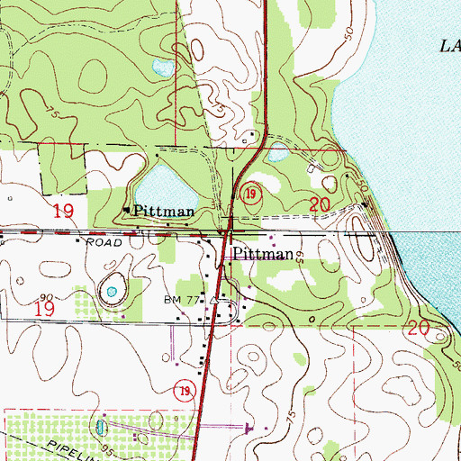 Topographic Map of Pittman, FL