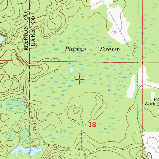 Topographic Map of Pittman Swamp, FL
