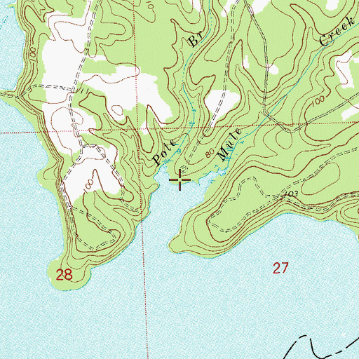 Topographic Map of Pole Branch, FL