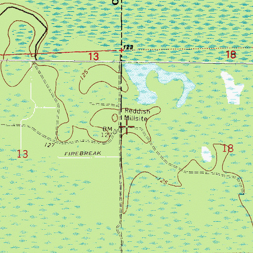 Topographic Map of Reddish Millsite, FL