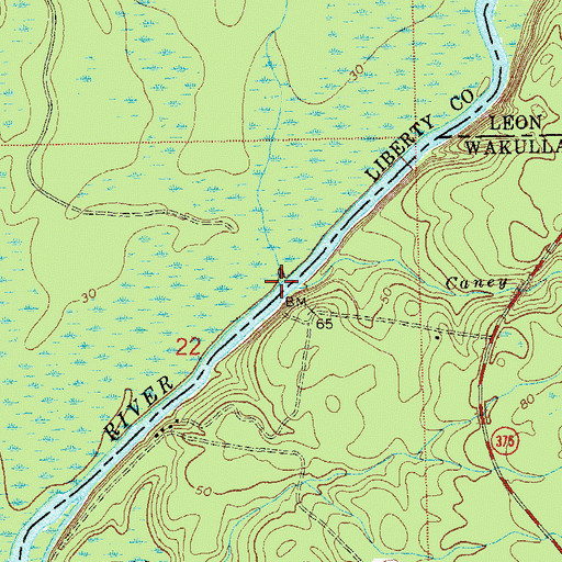 Topographic Map of Reedy Branch, FL