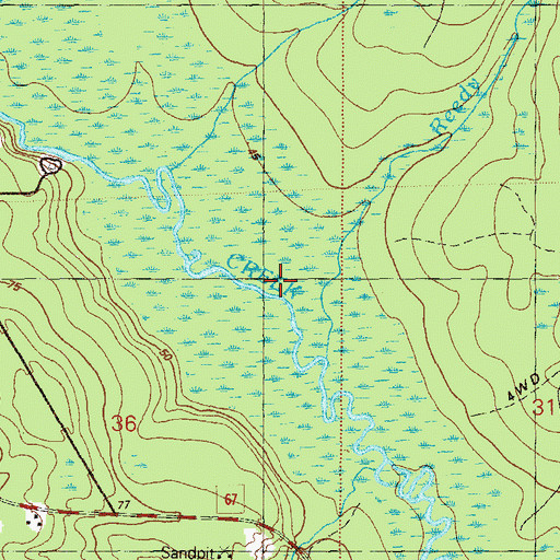 Topographic Map of Reedy Branch, FL