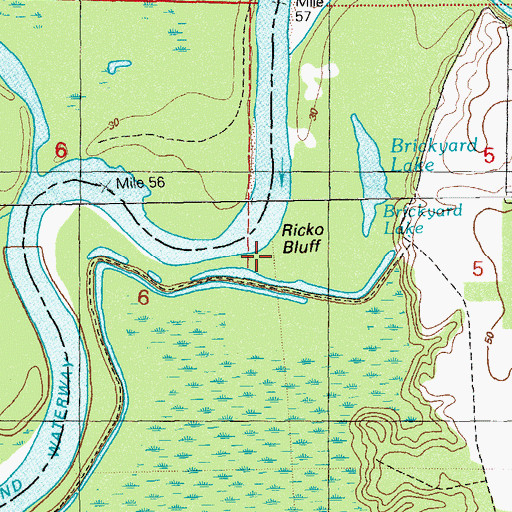 Topographic Map of Ricko Bluff, FL
