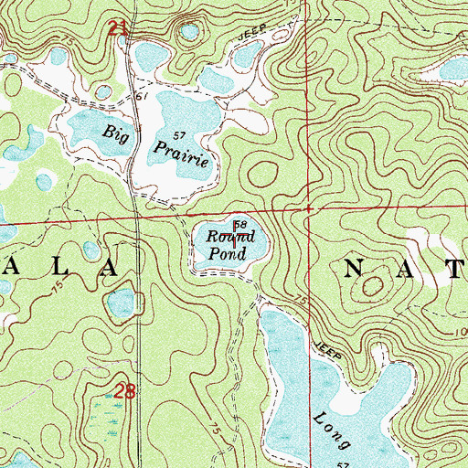 Topographic Map of Round Pond, FL