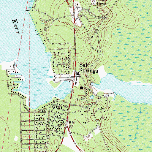Topographic Map of Salt Springs, FL