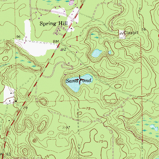 Topographic Map of Sand Pond, FL