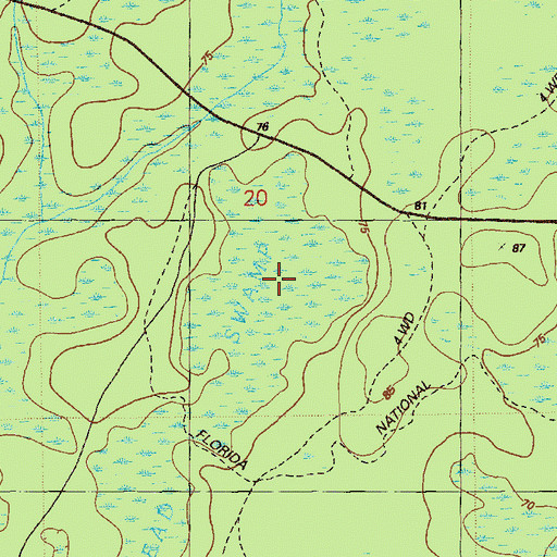 Topographic Map of Saplin Head Swamp, FL