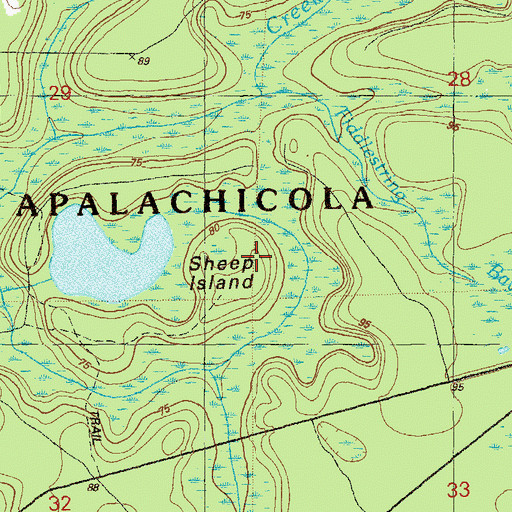 Topographic Map of Sheep Island, FL