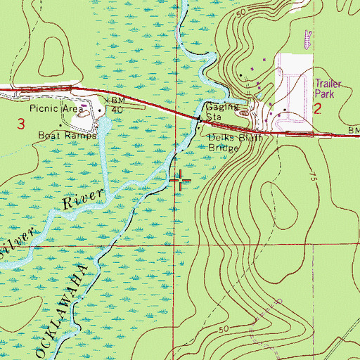 Topographic Map of Silver River, FL