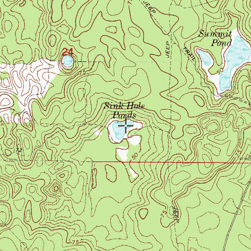 Topographic Map of Sink Hole Ponds, FL