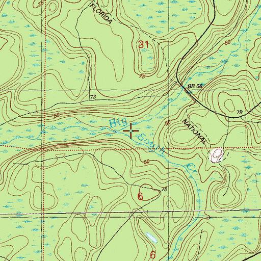 Topographic Map of South Creek, FL