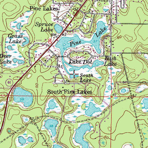 Topographic Map of South Lake, FL