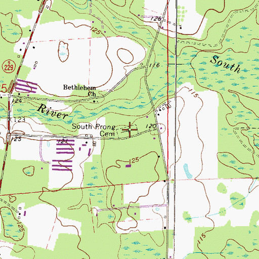 Topographic Map of South Prong Cemetery, FL
