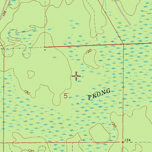 Topographic Map of South Prong Swamp, FL