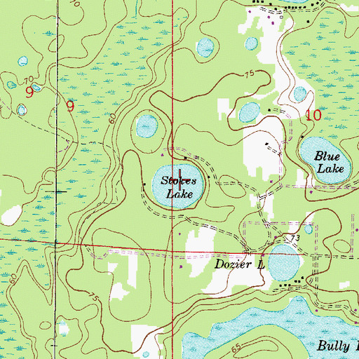Topographic Map of Stokes Lake, FL