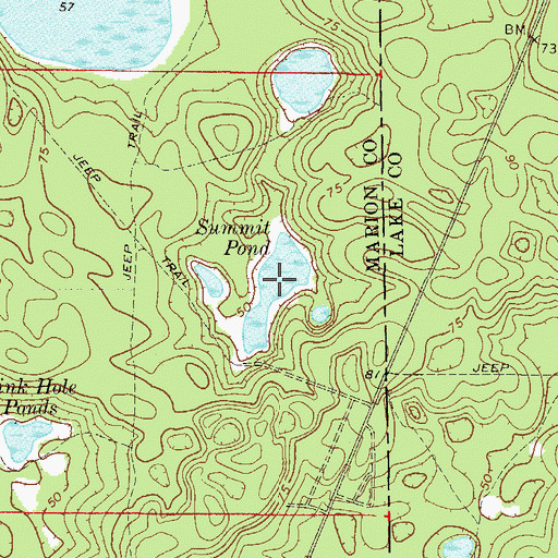 Topographic Map of Summit Pond, FL