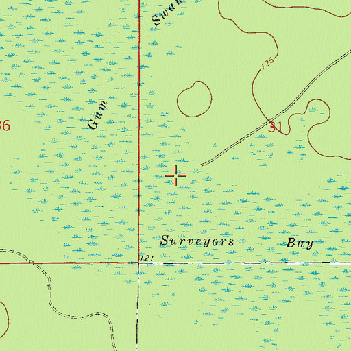 Topographic Map of Surveyors Bay, FL