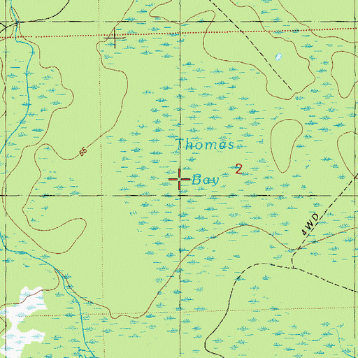 Topographic Map of Thomas Bay, FL