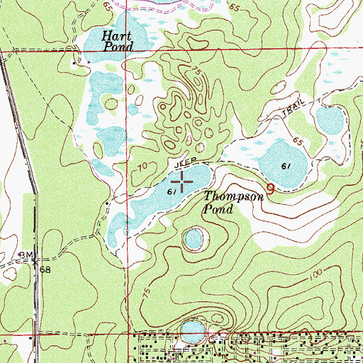 Topographic Map of Thompson Pond, FL