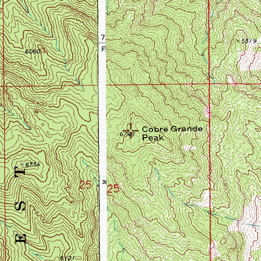 Topographic Map of Cobre Grande Peak, AZ