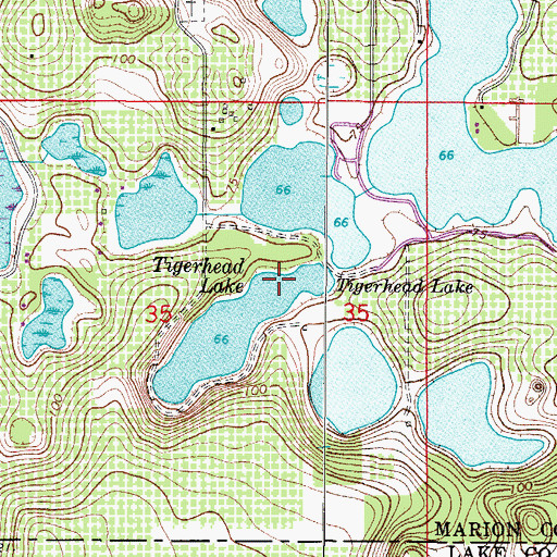 Topographic Map of Tigerhead Lake, FL