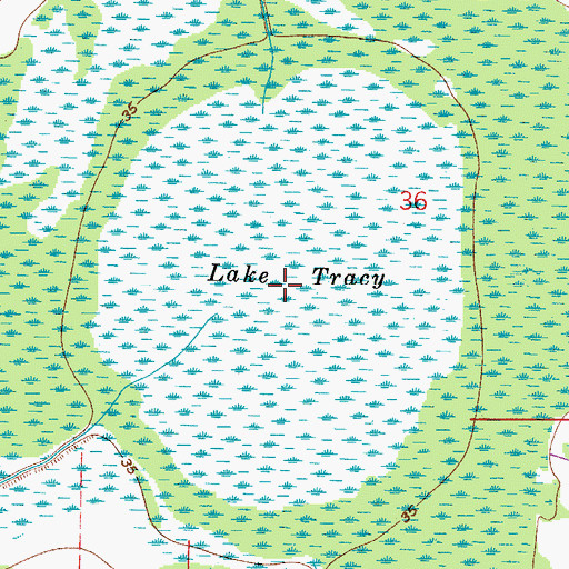 Topographic Map of Lake Tracy, FL