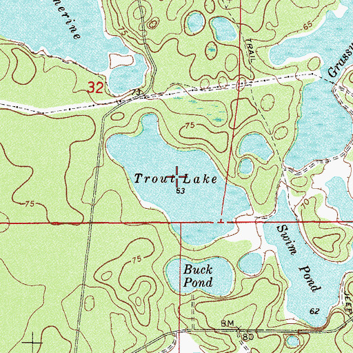 Topographic Map of Trout Lake, FL