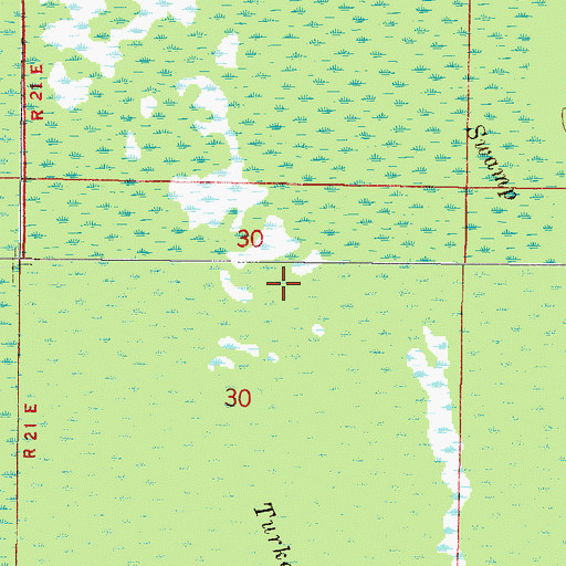 Topographic Map of Turkey Creek Swamp, FL