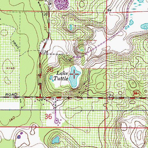 Topographic Map of Lake Tuttle, FL