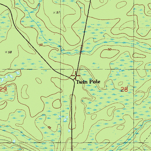 Topographic Map of Twin Pole, FL