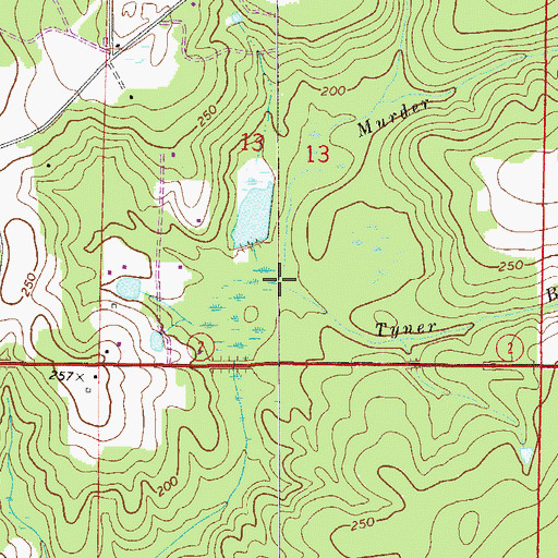 Topographic Map of Tyner Branch, FL