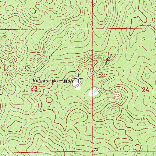 Topographic Map of Volusia Bear Hole, FL