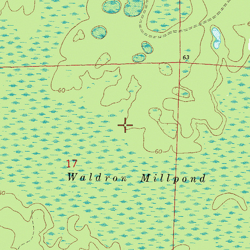 Topographic Map of Waldron Millpond, FL