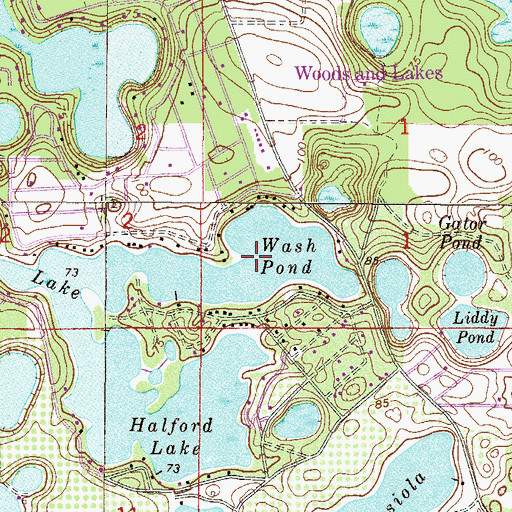 Topographic Map of Wash Pond, FL