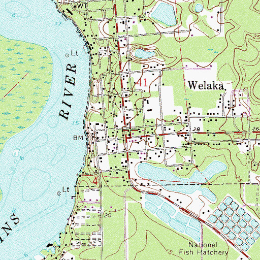 Topographic Map of Welaka, FL
