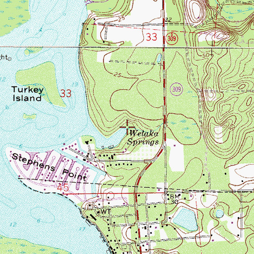 Topographic Map of Welaka Springs, FL