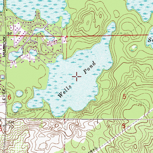 Topographic Map of Wells Pond, FL