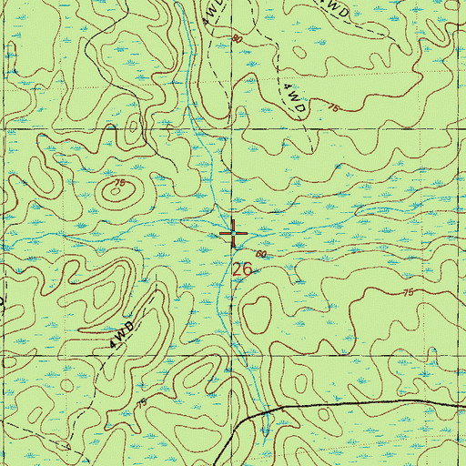 Topographic Map of Western Branch, FL