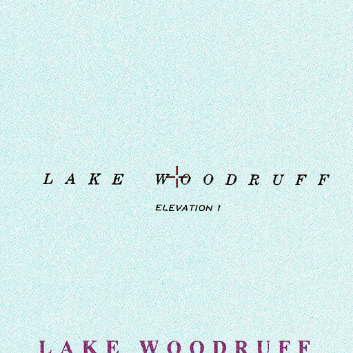 Topographic Map of Lake Woodruff, FL