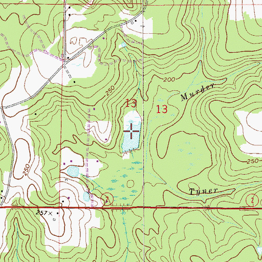 Topographic Map of Alva Davidson Pond, FL