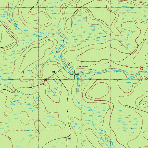 Topographic Map of Bracel Branch, FL