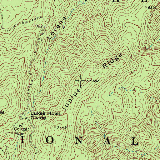 Topographic Map of Juniper Ridge, AZ