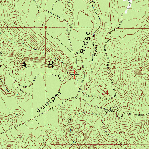Topographic Map of Juniper Ridge, AZ